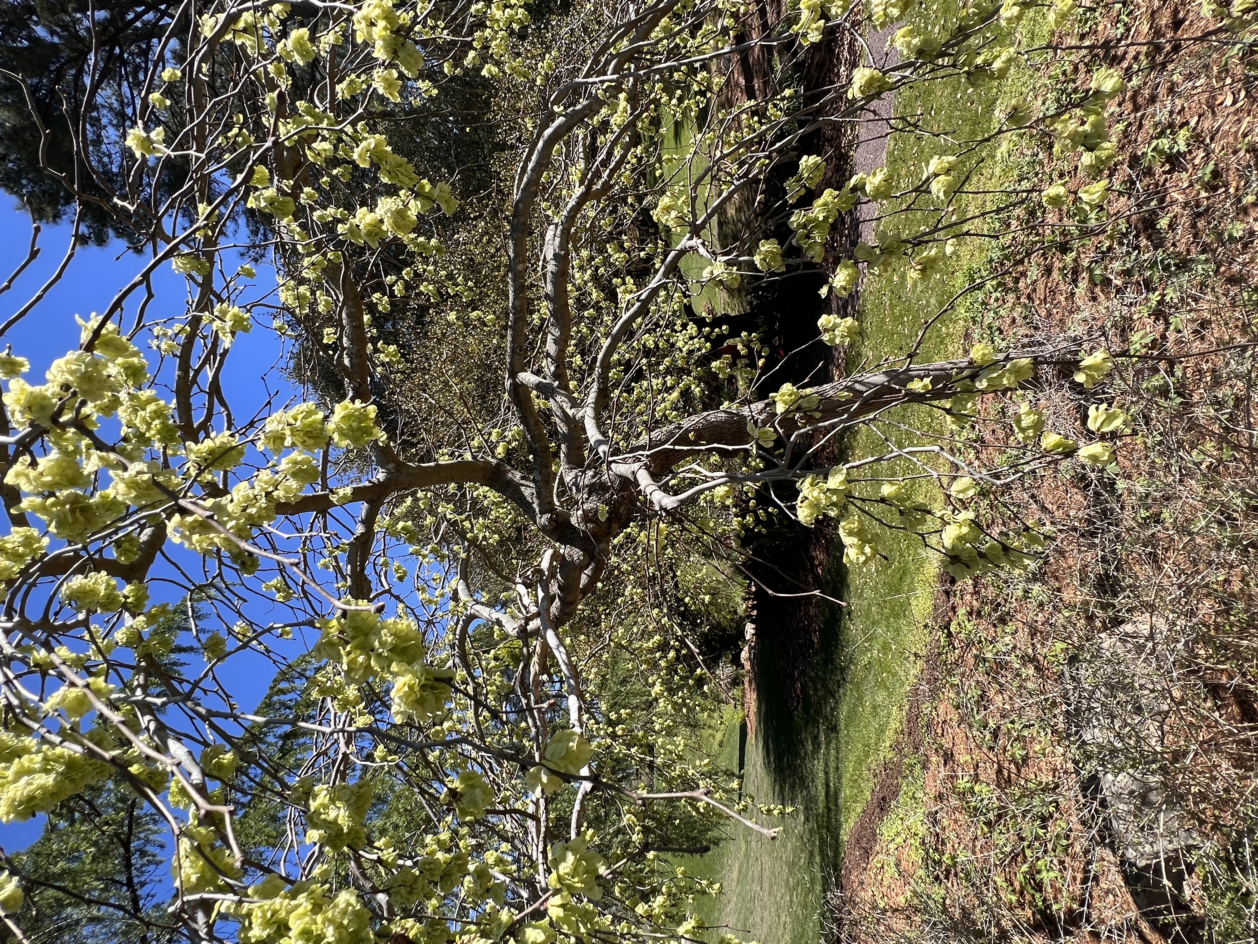 ./2023/05 - Toni Adventures/IMG_3184.JPG
